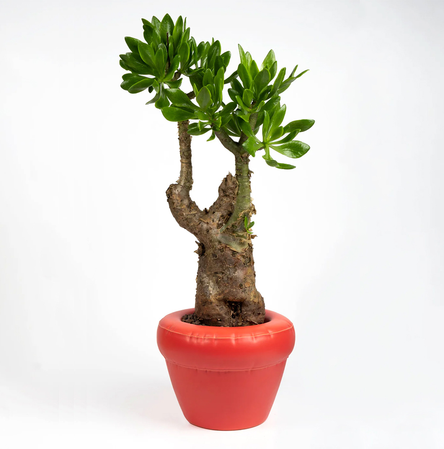 Home Studyo - plantenpot Pierre, coral