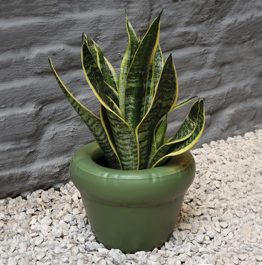 Home Studyo - plantenpot Pierre, moss