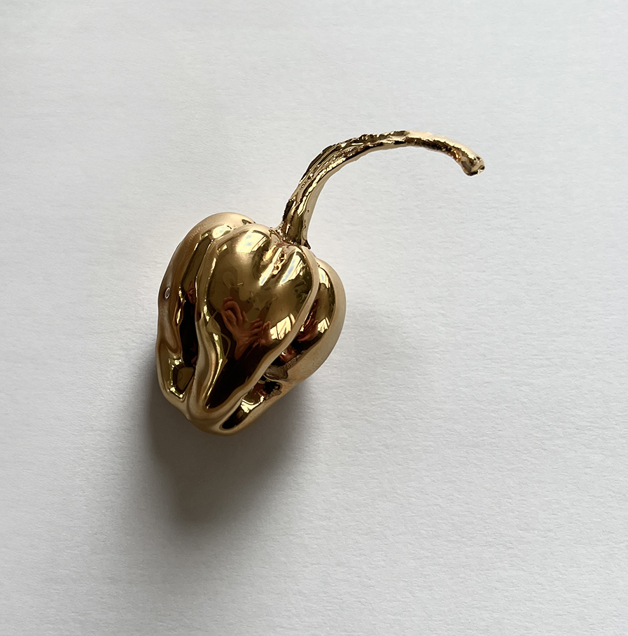 Sibrich Veenland - madame jeanette goud