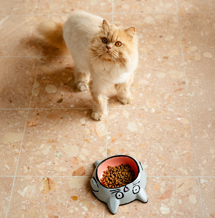 Home Studyo x Jean Jullien - cat bowl