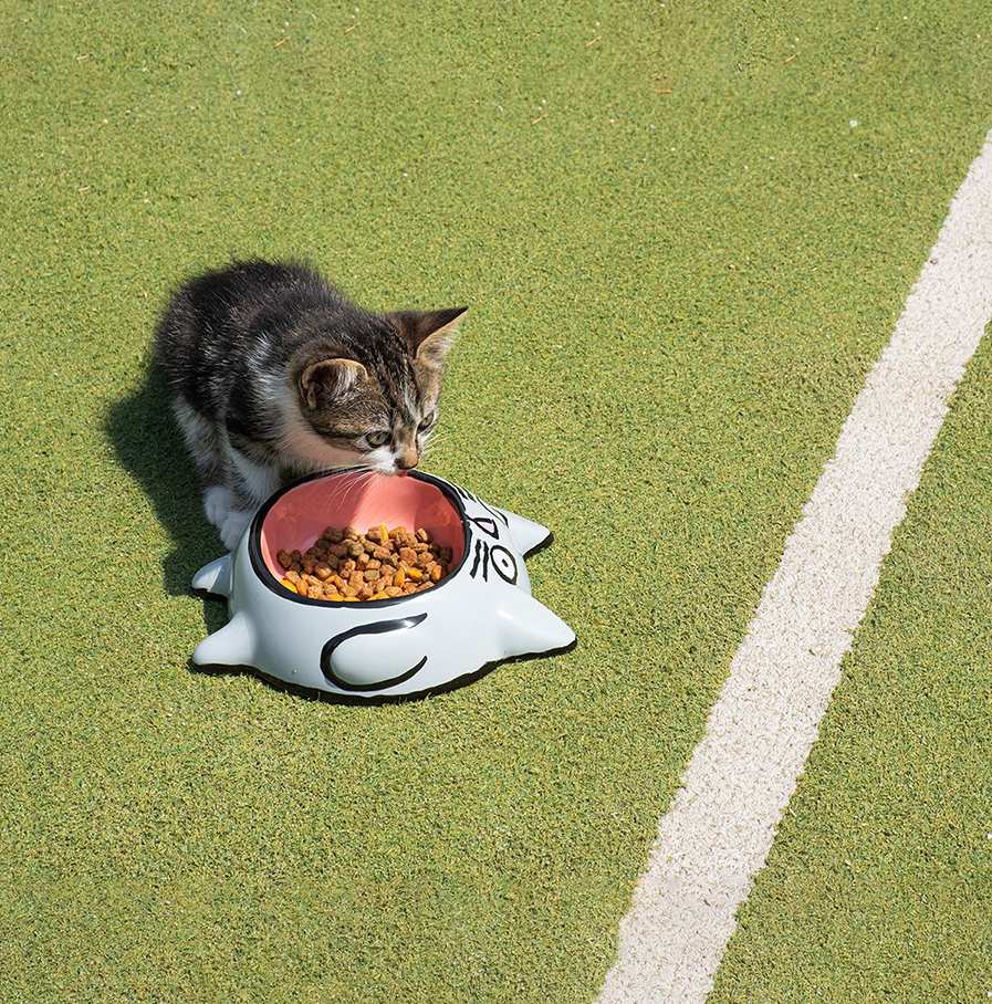 Home Studyo x Jean Jullien - cat bowl