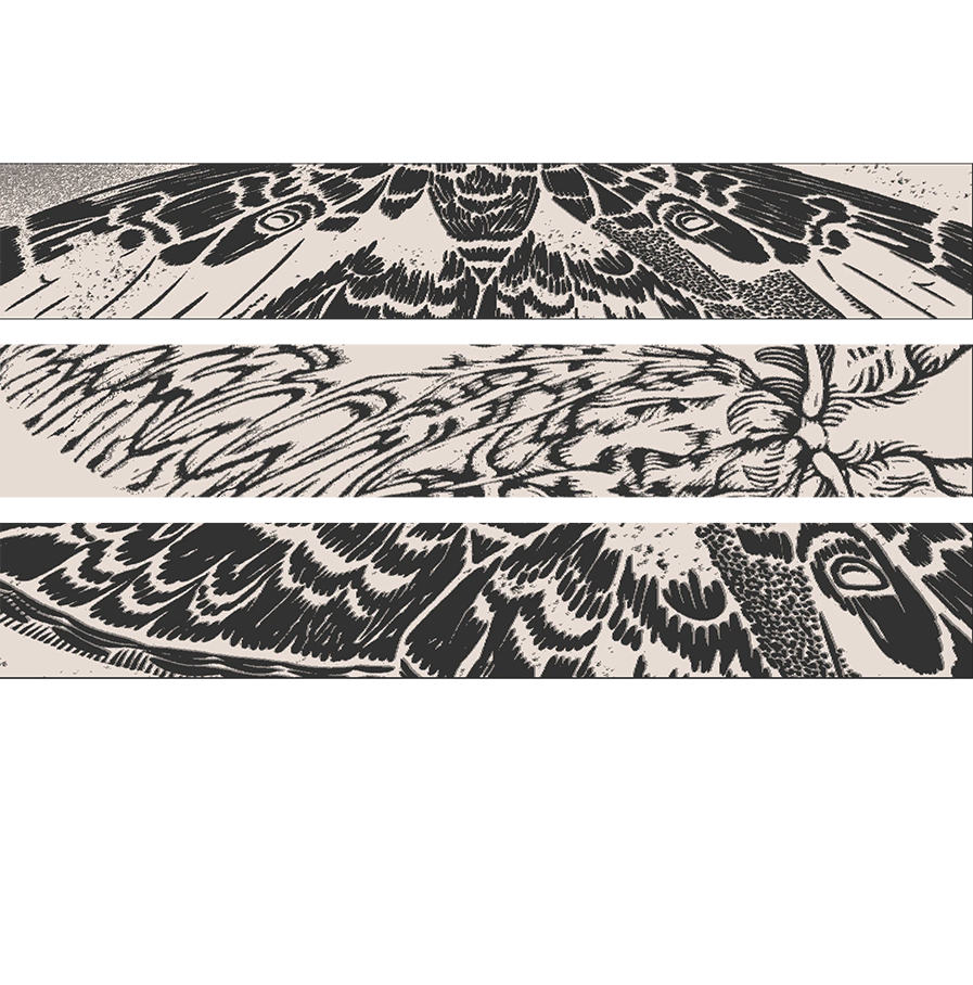 Wolvis - collectie 'Drift'