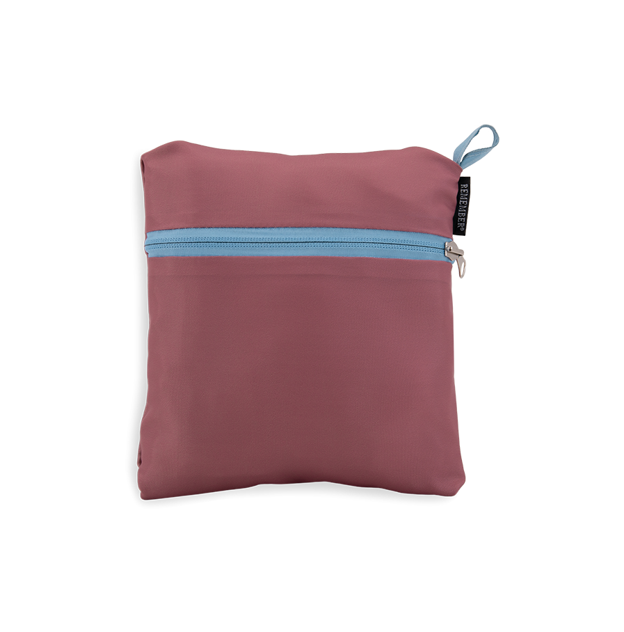 Remember - reistas 'Ida'