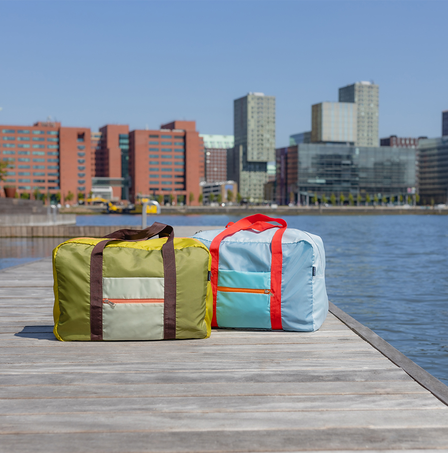 Remember - reistas 'Liz'