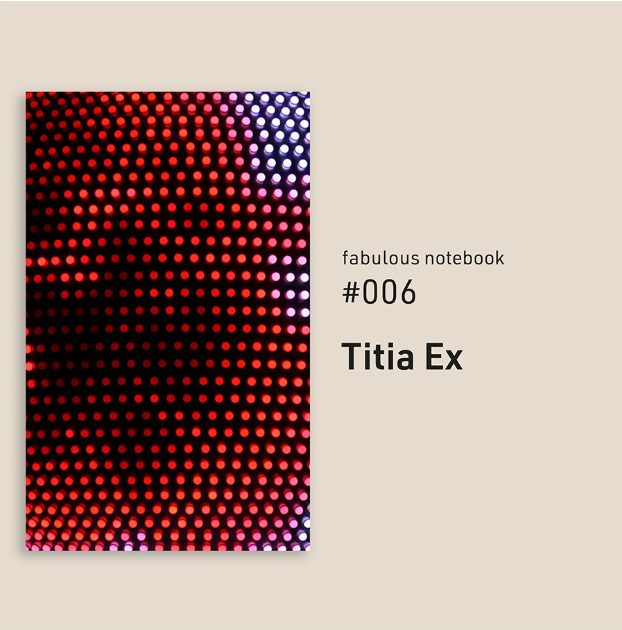 Fabulous Notebooks - Titia Ex