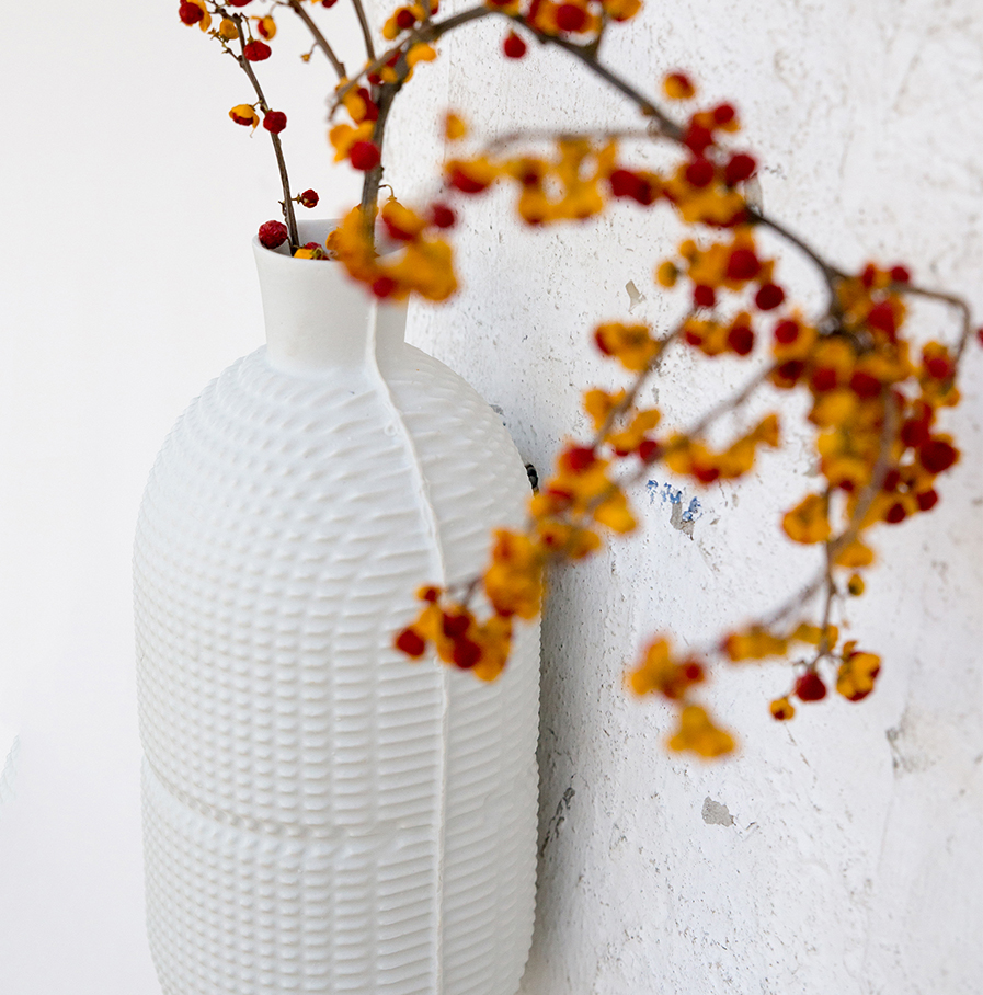 SofieBoonman_hangvaas