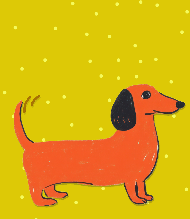 cadeaus voor dierenvrienden