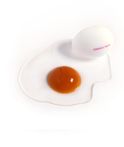 Tosca van den Braak - gevallen eitje