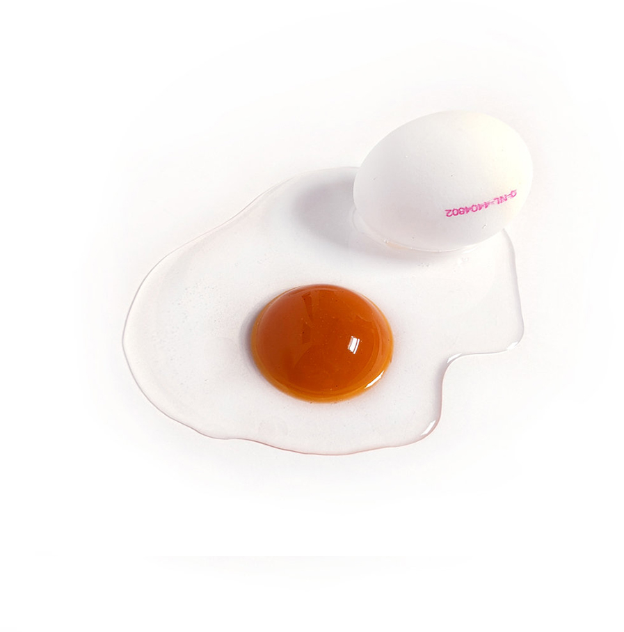 Tosca van den Braak - gevallen eitje