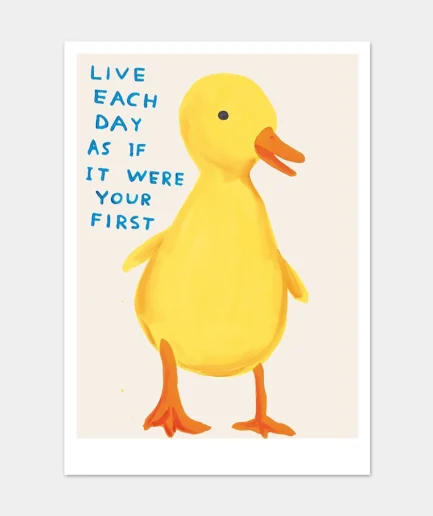 David Shrigley - kaart 'Live each Day as if it were your First'