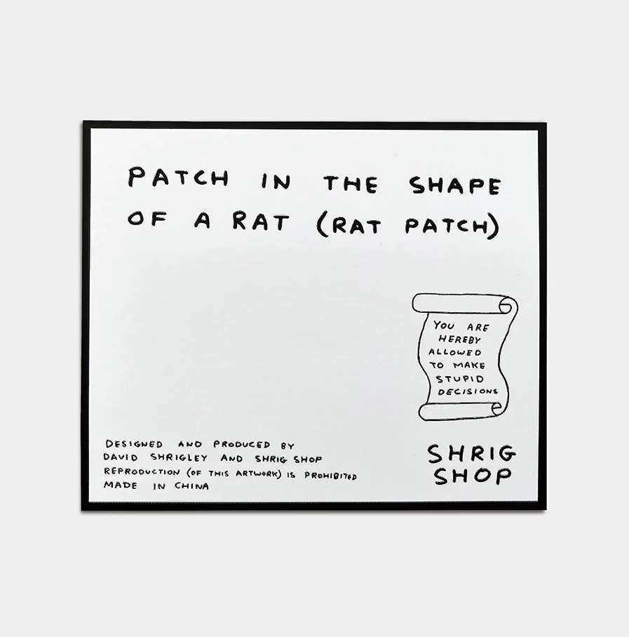 David-Shrigley- wit opstrijkembleem met de tekst 'I ate all your money'