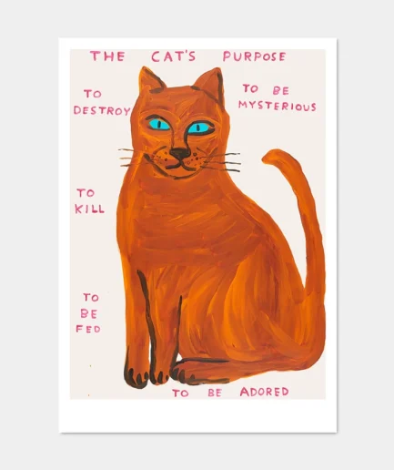 David Shrigley - kaart 'The Cat's Purpose'
