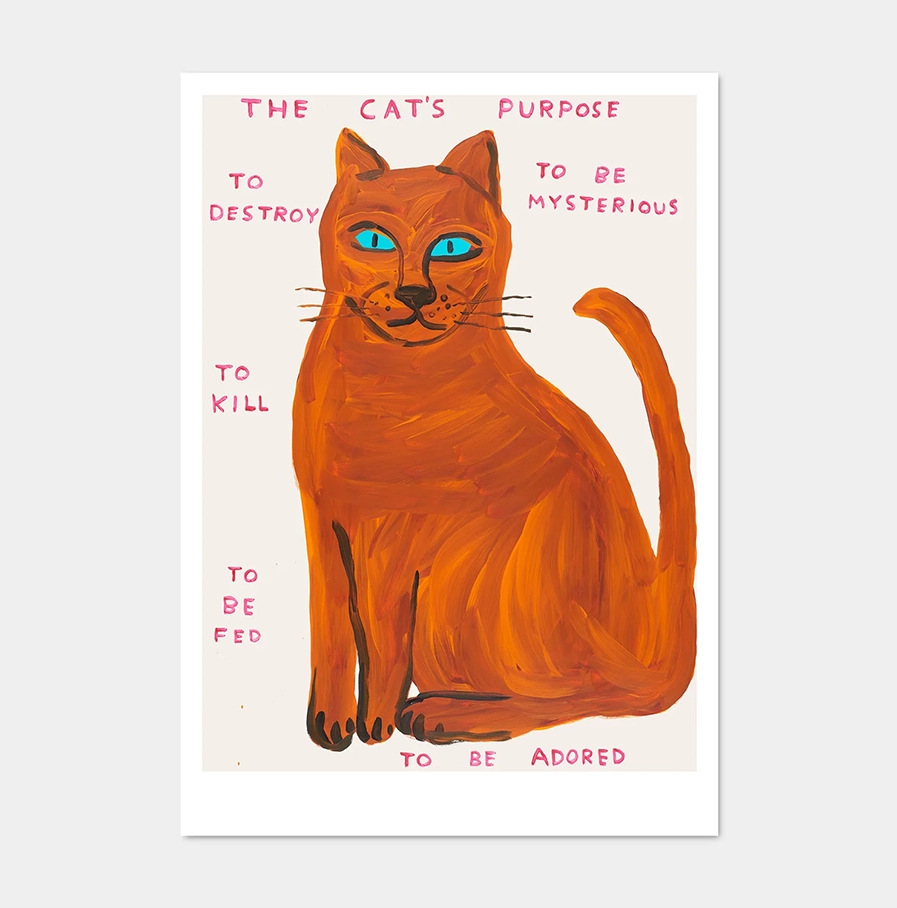 David Shrigley - kaart 'The Cat's Purpose'