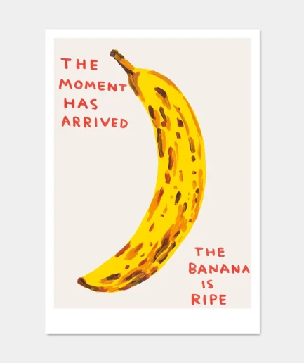 David Shrigley - kaart 'The Moment Has Arrived'