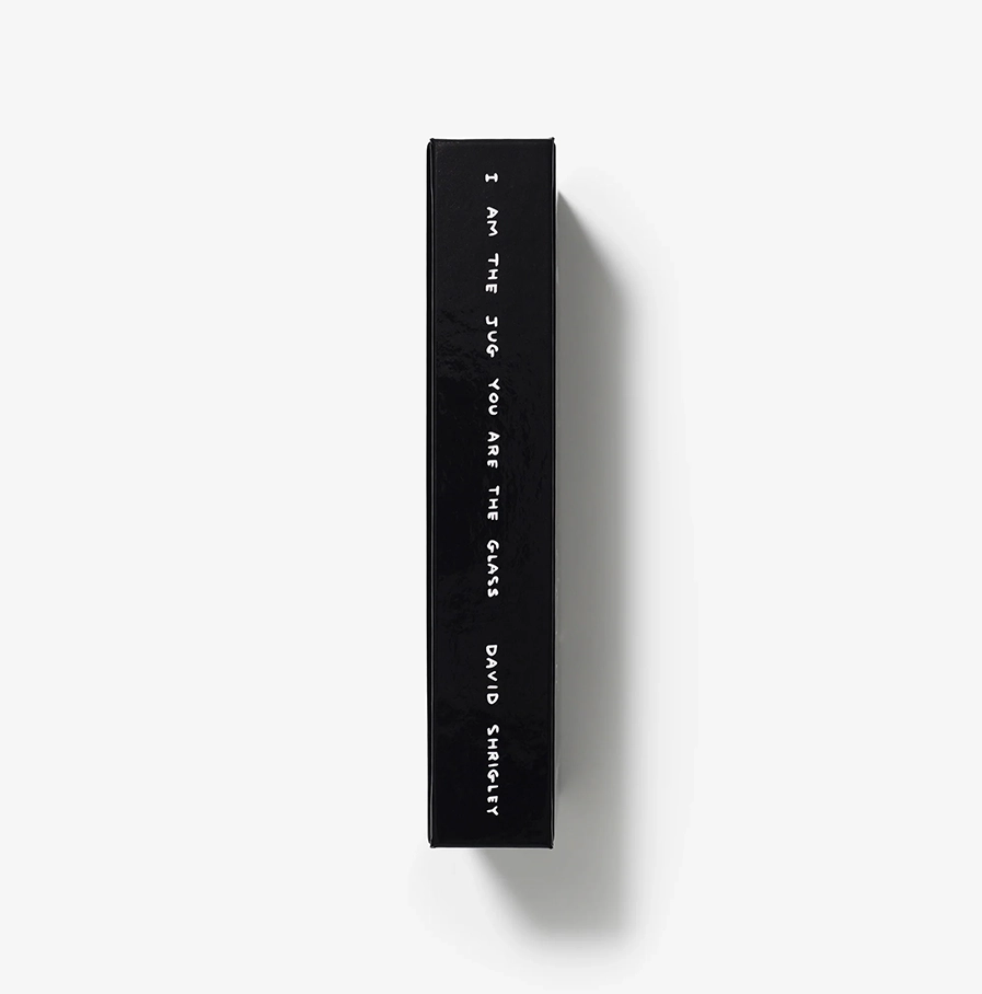 David-Shrigley-boek 'I am the Jug, You are the Glass