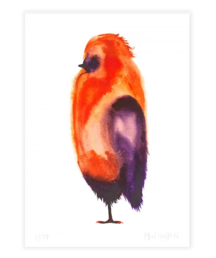 Vogel-llustratie van Paul Faassen in warme roodtinten