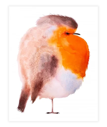 Illustratie van Paul Faassen met roodborstje