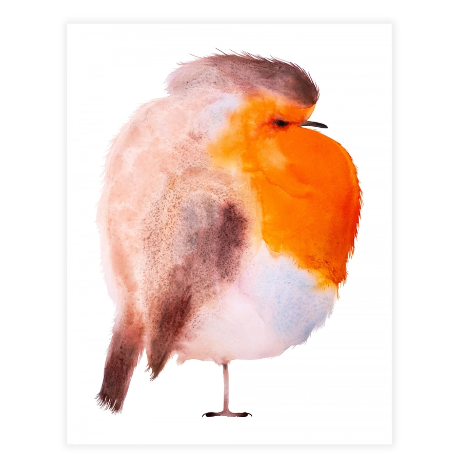 Illustratie van Paul Faassen met roodborstje