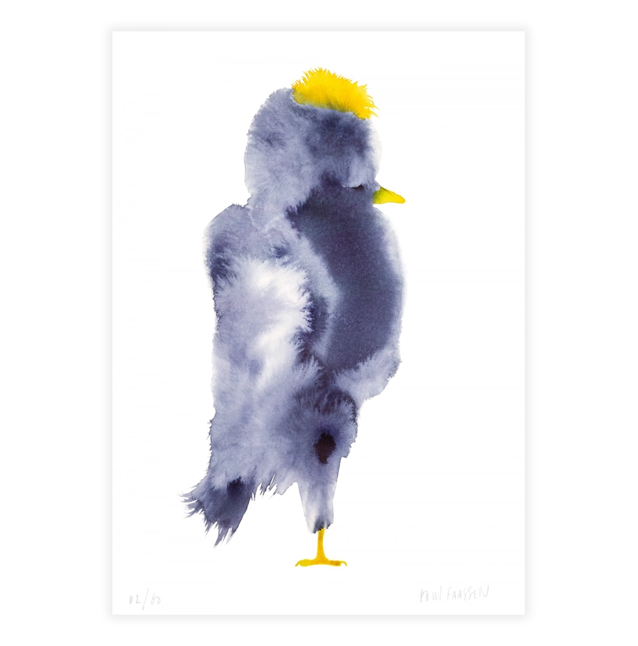 Vogel-llustratie van Paul Faassen zwart/grijs met gele kuif