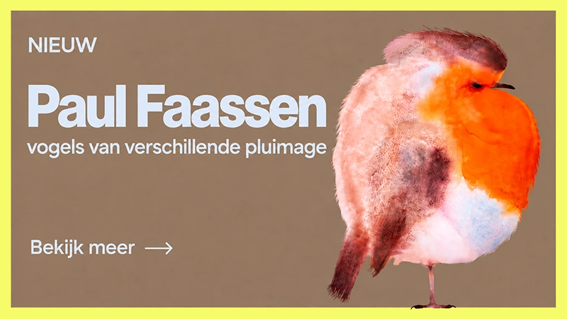 Paul Faassen – Vogels van verschillende pluimage